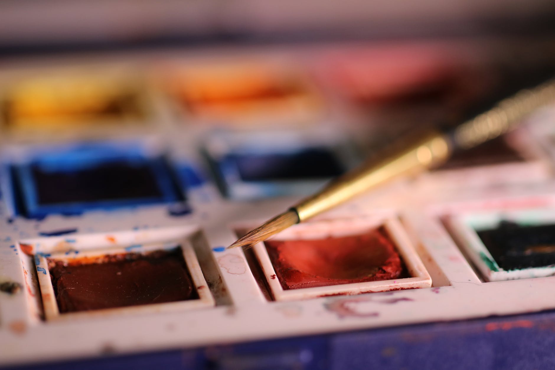 selective focus photography of paint brush on paint palette