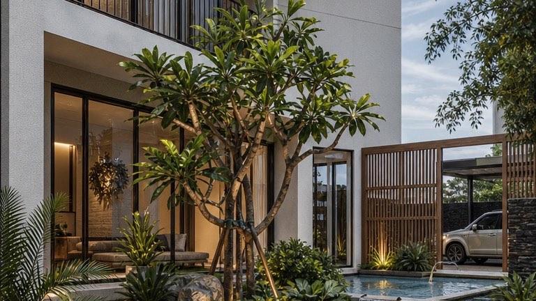 Frangipani tree, water feature and lit steps in the side courtyard of the Bangi house