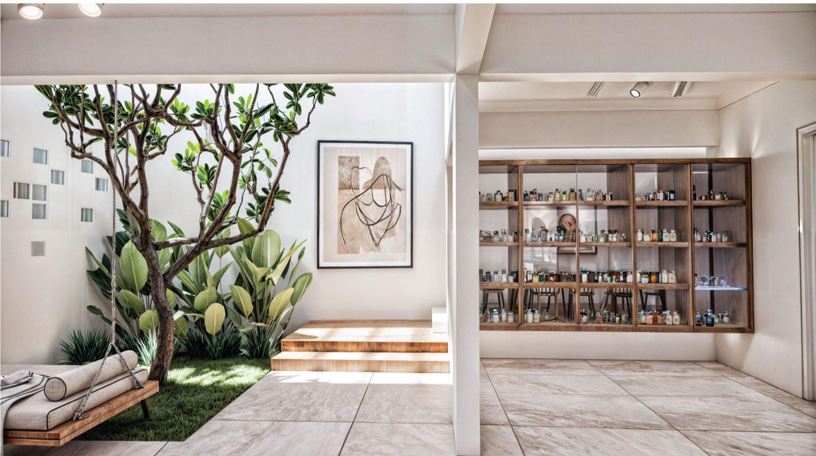 Internal courtyard of the Kuala Lumpur terrace house, a frangipani over grass beside a glazed display cabinet